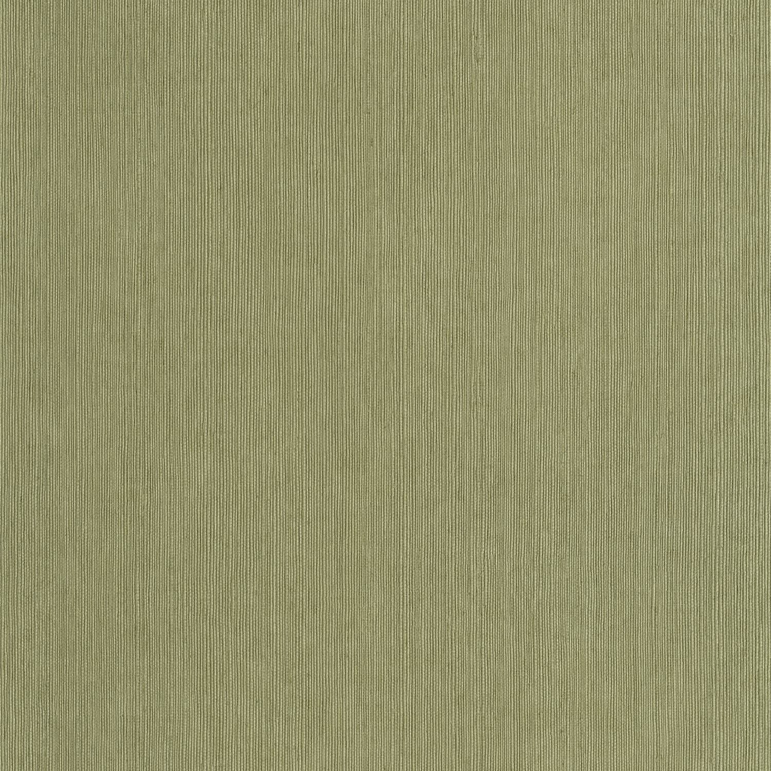 Sisal Wallpaper - Vert Kaki - Caselio - 106017450 - Premier Wallcovering