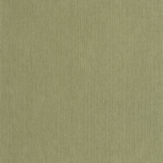 Sisal Wallpaper - Vert Kaki - Caselio - 106017450 - Premier Wallcovering