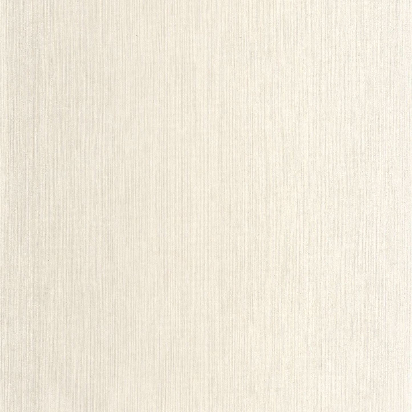 Sisal Wallpaper - Creme - Caselio - 106011045 - Premier Wallcovering