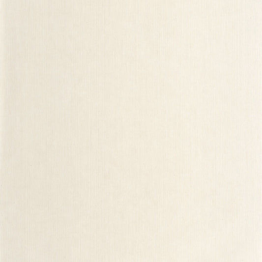 Sisal Wallpaper - Creme - Caselio - 106011045 - Premier Wallcovering