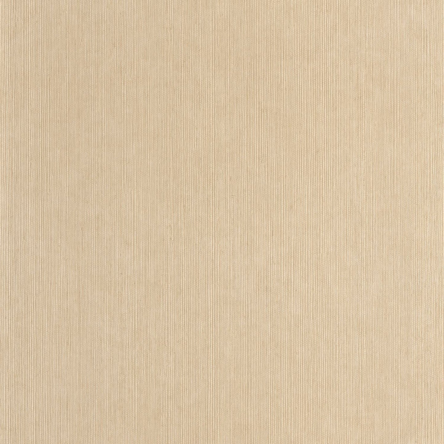 Sisal Wallpaper - Beige - Caselio - 106011245 - Premier Wallcovering