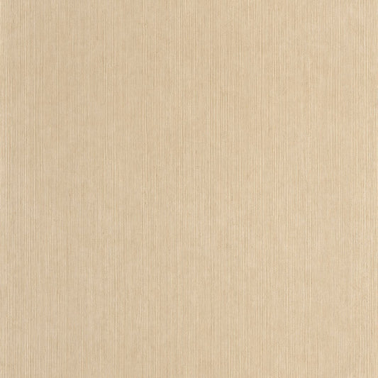 Sisal Wallpaper - Beige - Caselio - 106011245 - Premier Wallcovering