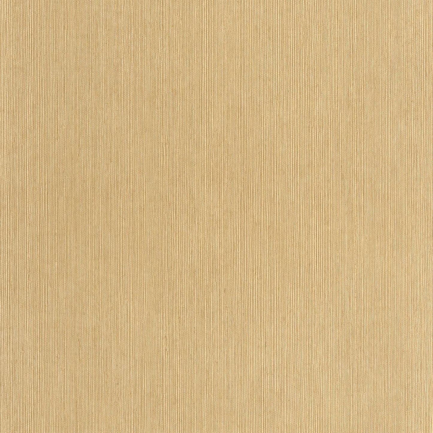 Sisal Wallpaper - Vanille - Caselio - 106011403 - Premier Wallcovering