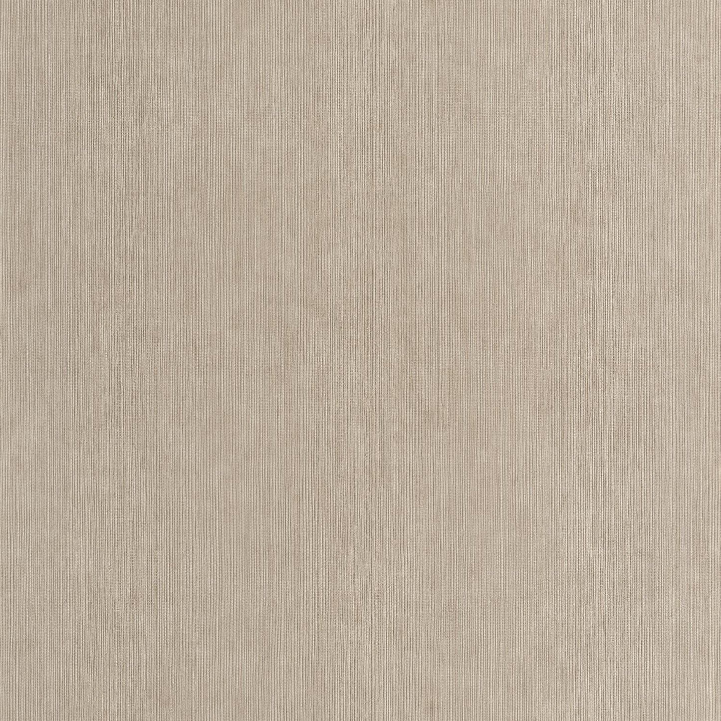 Sisal Wallpaper - Taupe - Caselio - 106011660 - Premier Wallcovering