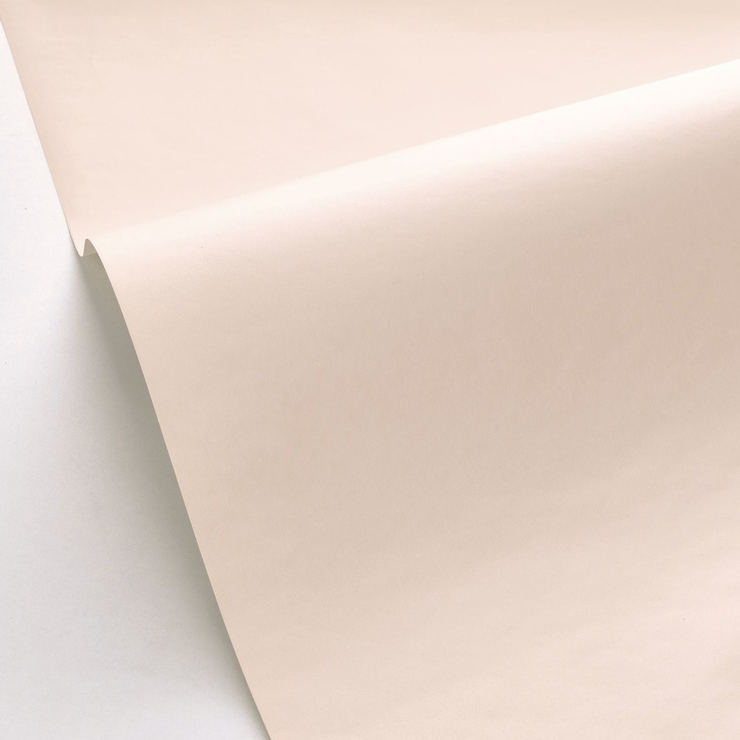 Smile Uni Wallpaper - Beige - Caselio - 69861303 - Premier Wallcovering