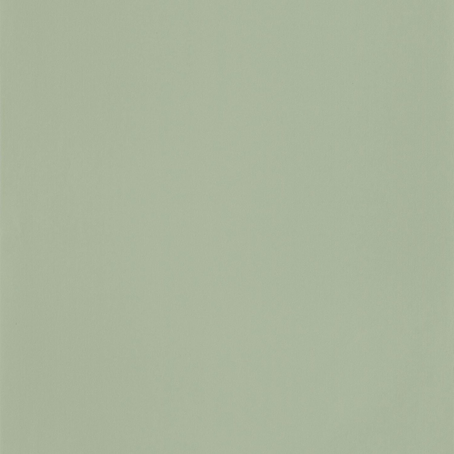 Smile Uni Wallpaper - Vert De Gris - Caselio - 69867200 - Premier Wallcovering