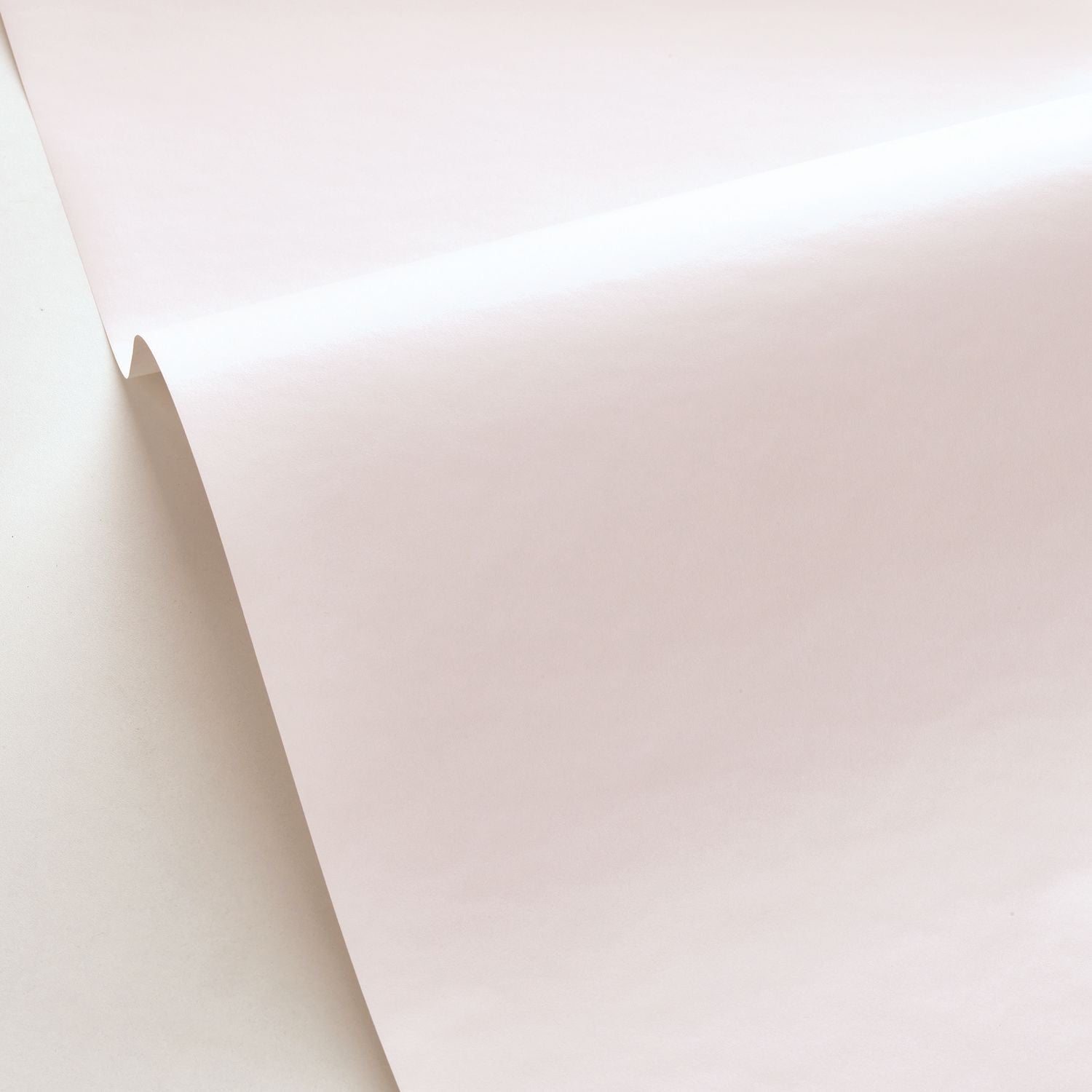 Smile Uni Wallpaper - Coquille - Caselio - 69861001 - Premier Wallcovering