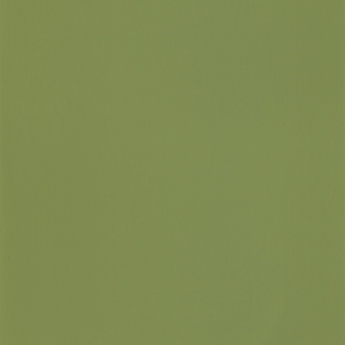 Smile Uni Wallpaper - Mousse - Caselio - 69867313 - Premier Wallcovering