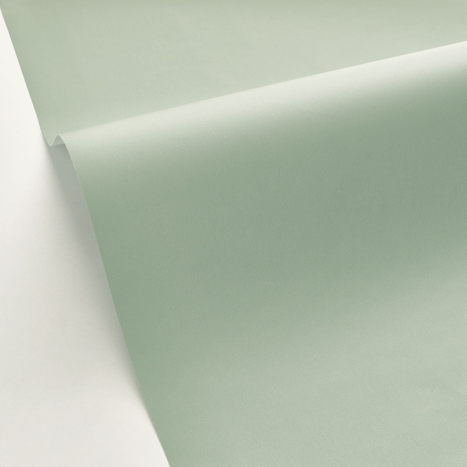 Smile Uni Wallpaper - Vert De Gris - Caselio - 69867200 - Premier Wallcovering
