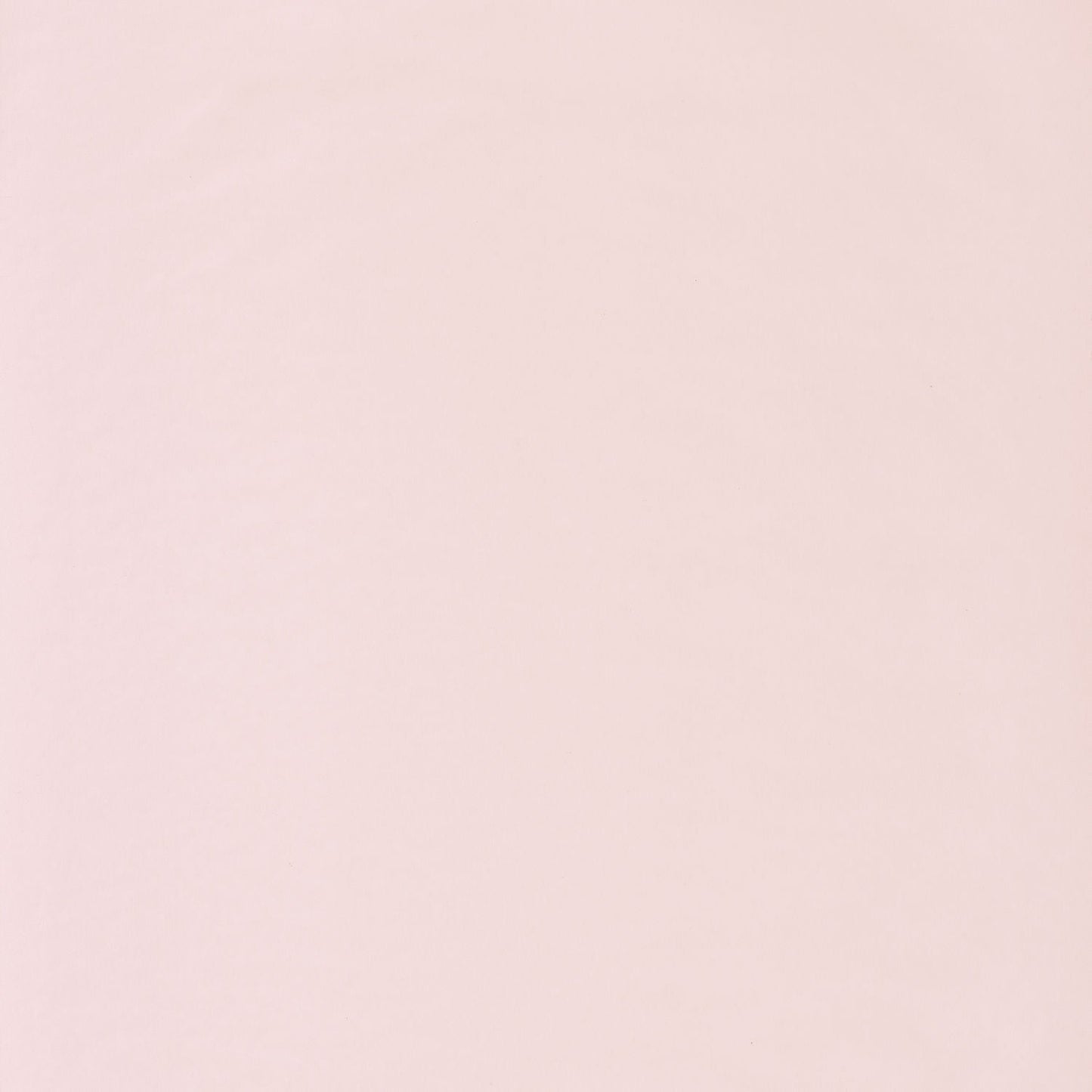 Smile Uni Wallpaper - Coquille - Caselio - 69861001 - Premier Wallcovering