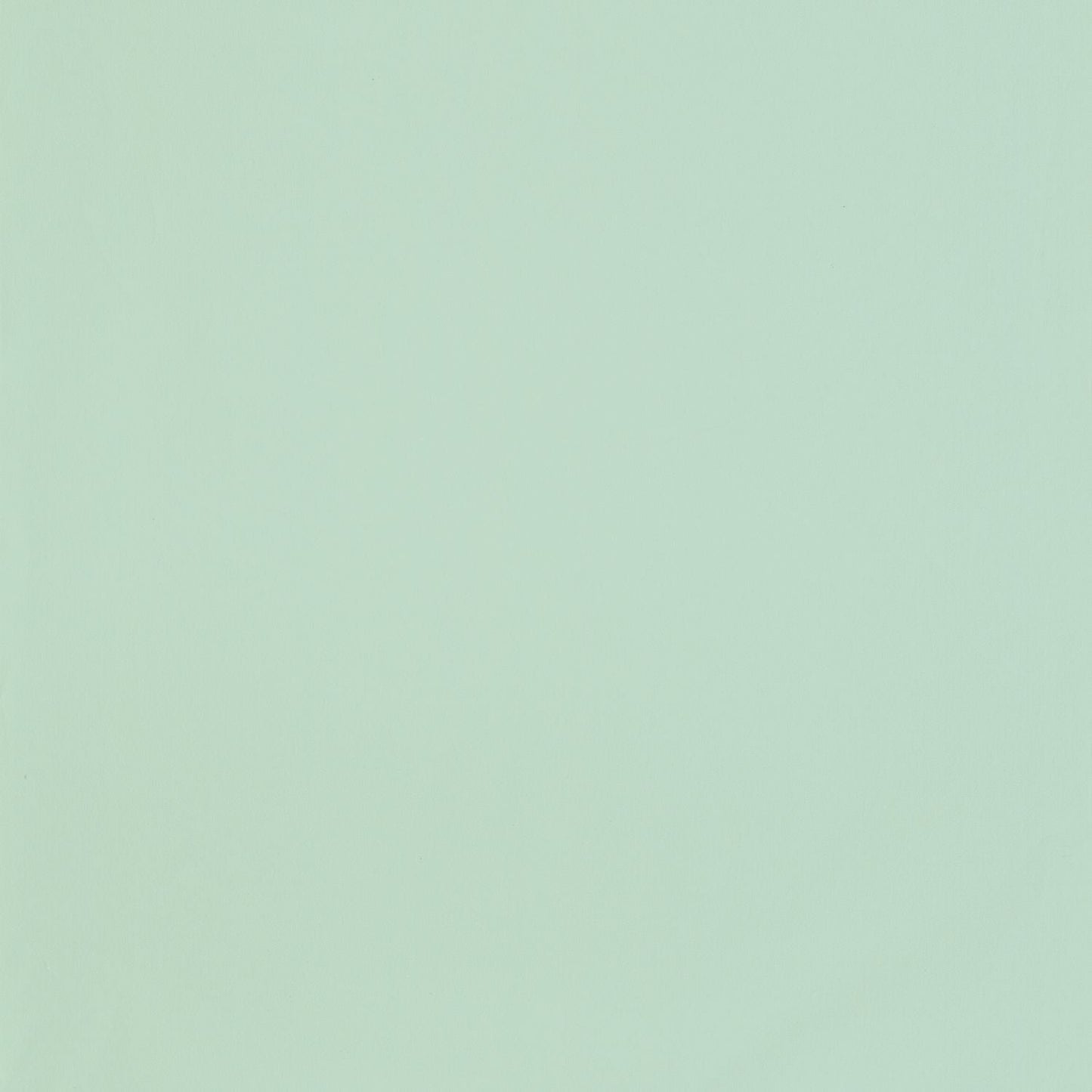 Smile Uni Wallpaper - Menthe - Caselio - 69867046 - Premier Wallcovering