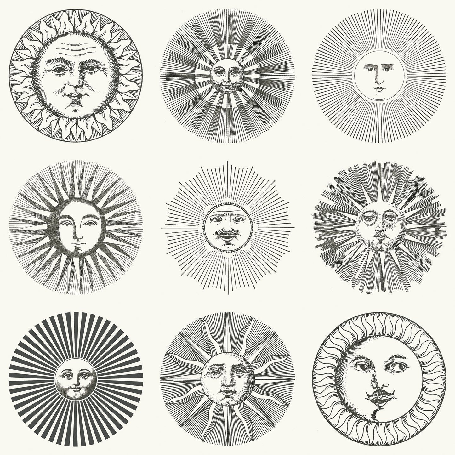 Soli Wallpaper - Black & White - 123/1001 - Cole & Son - Premier Wallcovering