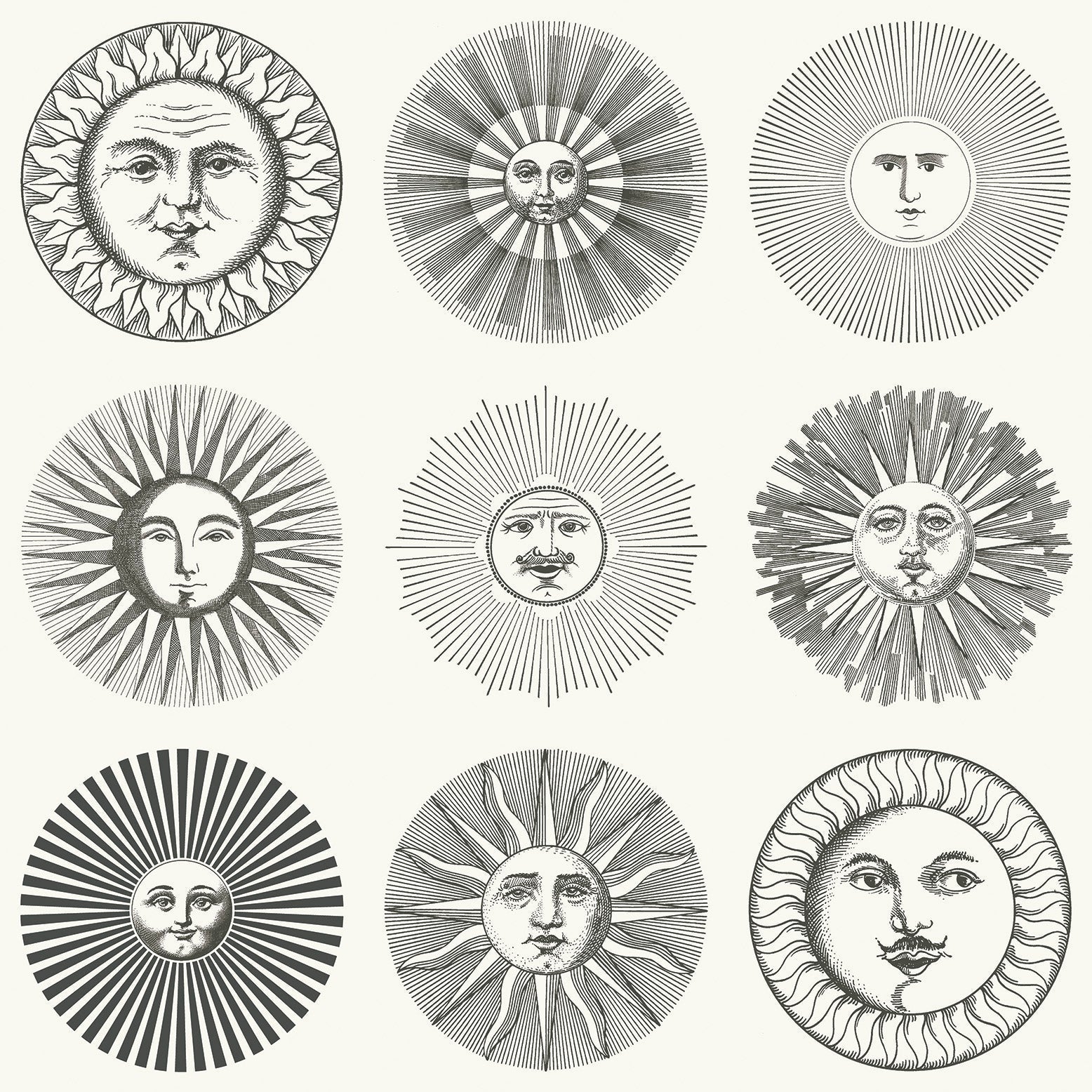 Soli Wallpaper - Black & White - 123/1001 - Cole & Son - Premier Wallcovering