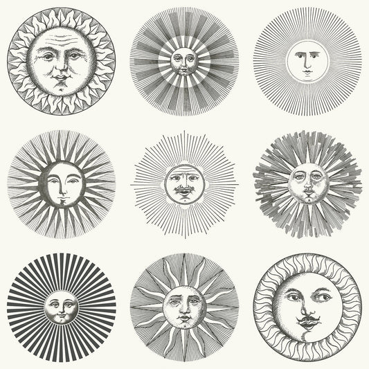 Soli Wallpaper - Black & White - 123/1001 - Cole & Son - Premier Wallcovering