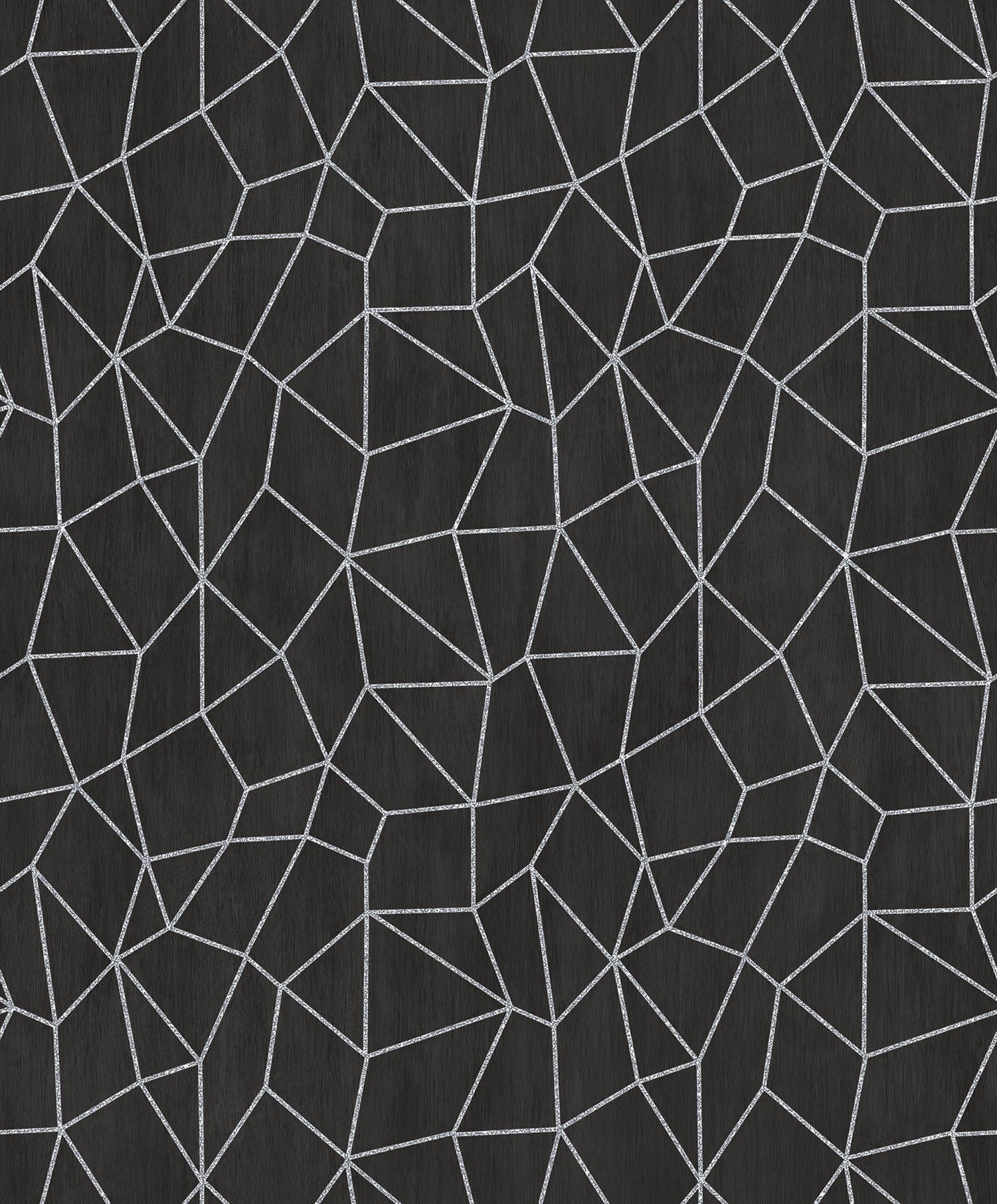 Special FX Metallic Web Effect Wallpaper - Silver / Black - Galerie - G67694 - Premier Wallcovering
