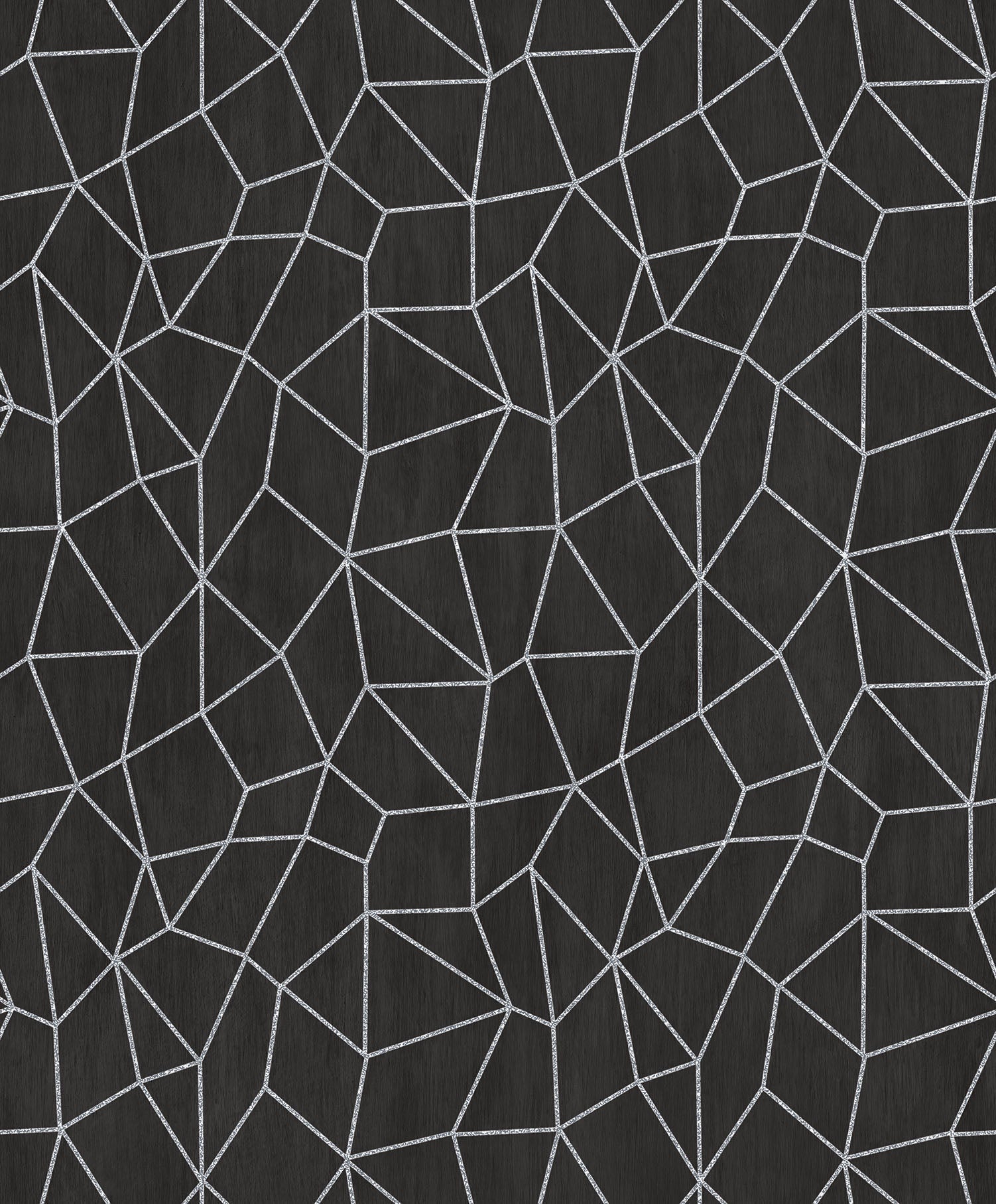 Special FX Metallic Web Effect Wallpaper - Silver / Black - Galerie - G67694 - Premier Wallcovering