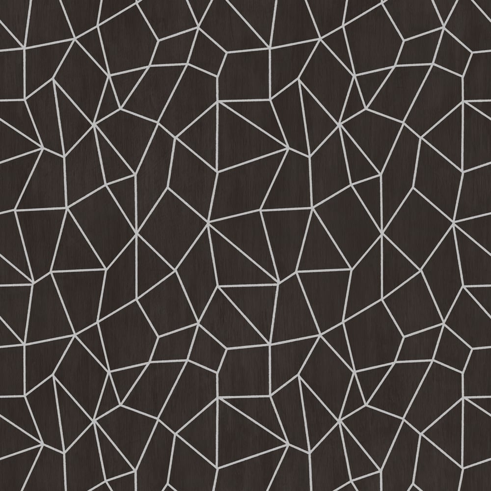 Special FX Metallic Web Effect Wallpaper - Silver / Black - Galerie - G67694 - Premier Wallcovering