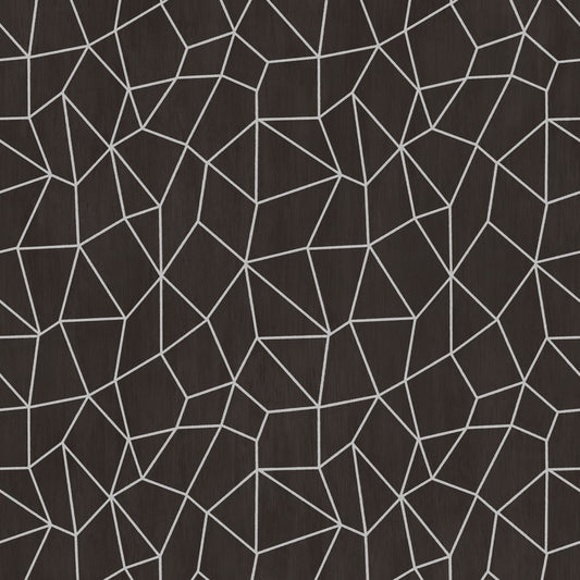 Special FX Metallic Web Effect Wallpaper - Silver / Black - Galerie - G67694 - Premier Wallcovering
