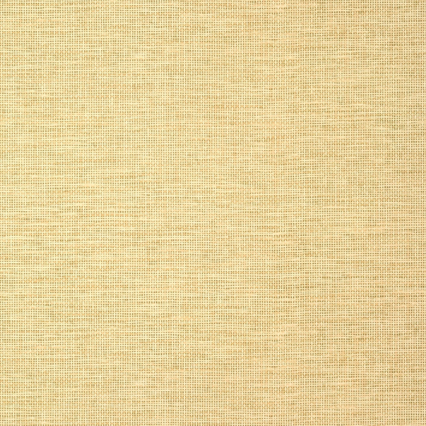 Spiro Wallpaper - Straw - Thibaut - T14564 - Premier Wallcovering