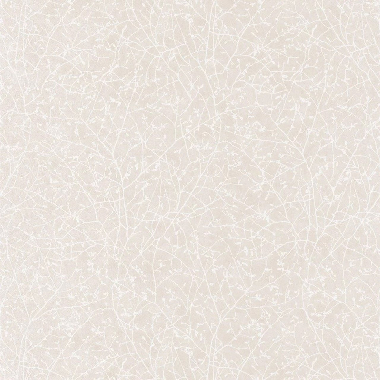 Spring Flower Wallpaper - Blanc / Beige - Casadeco - 83771122 - Premier Wallcovering