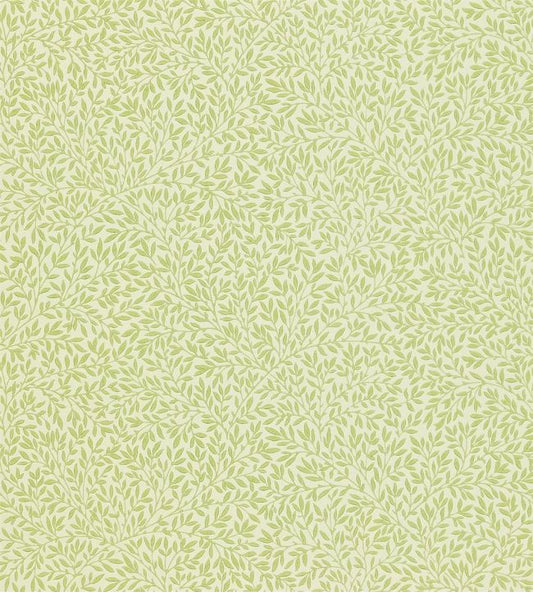 Standen Wallpaper - Fennel - 216833 - Morris & Co - Premier Wallcovering