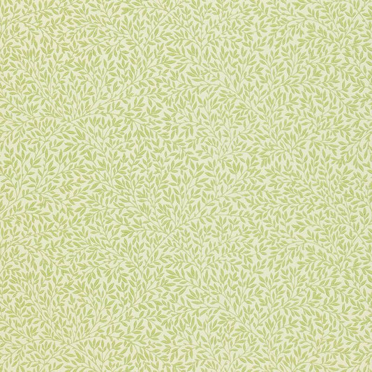 Standen Wallpaper - Fennel - Morris & Co - 210469 - Premier Wallcovering