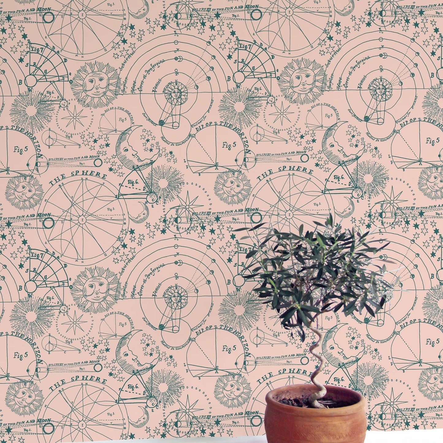 Stargazer Wallpaper - Blush - Fraiche - WP11004 - Premier Wallcovering