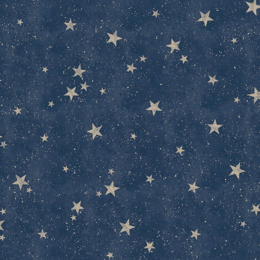 Starlight Stars Metallic Wallpaper - Navy/Gold - Crown - M1490 - Premier Wallcovering