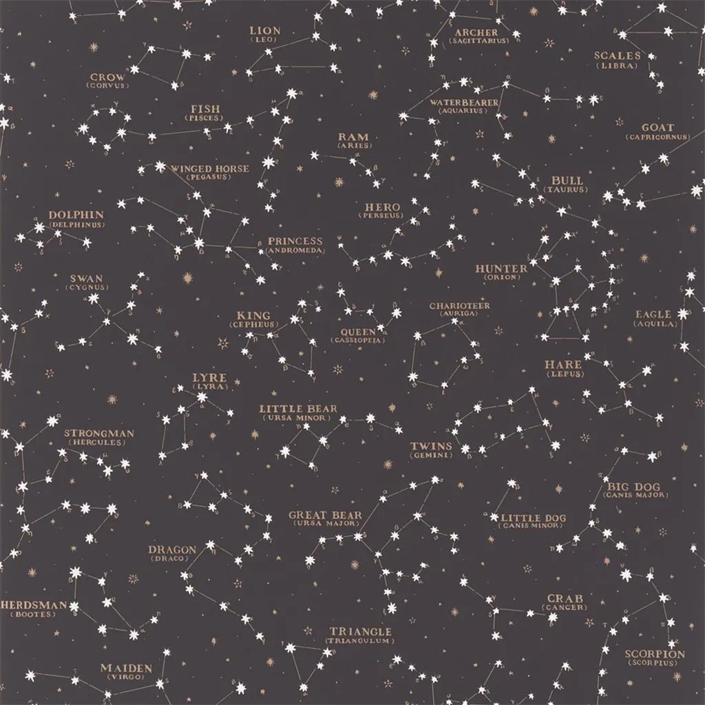 Starry Sky Wallpaper - Black - Ralph Lauren - PRL5041/02 - Premier Wallcovering