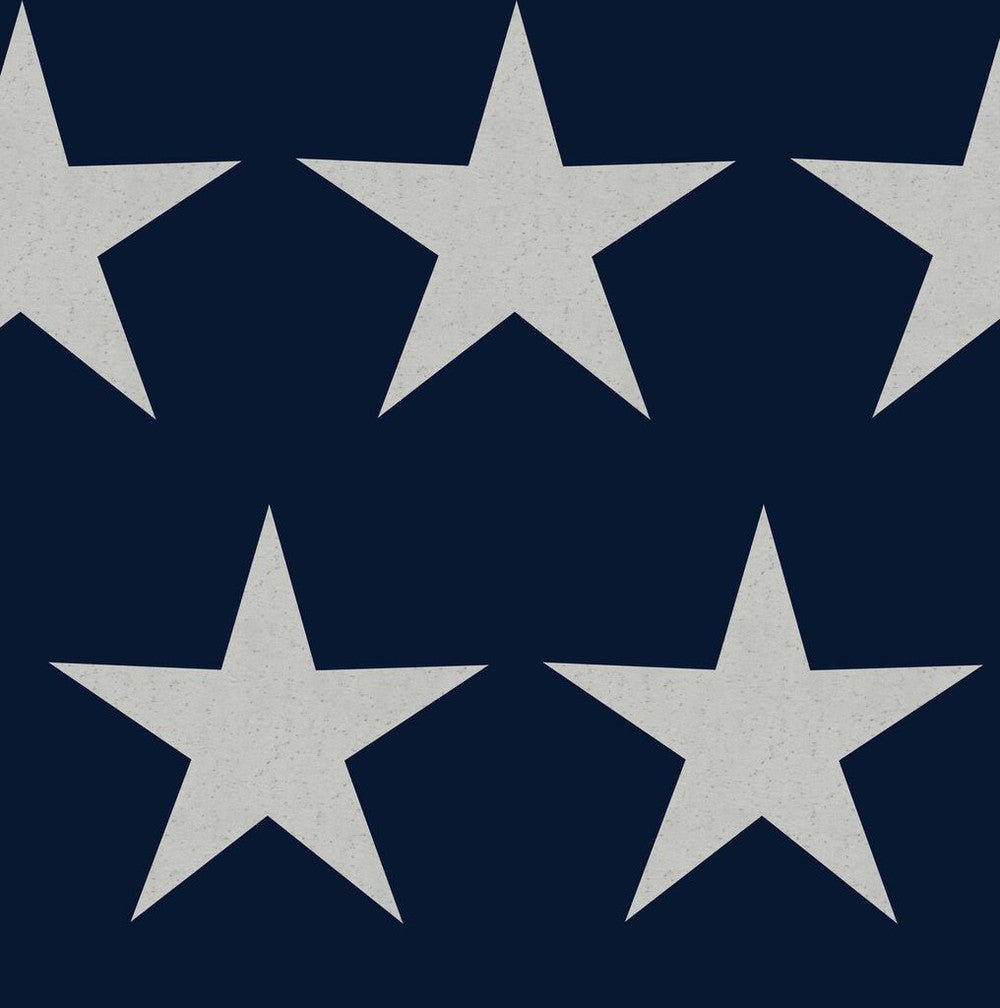 Stars Wallpaper - Navy Blue - Next - 118330 - Premier Wallcovering