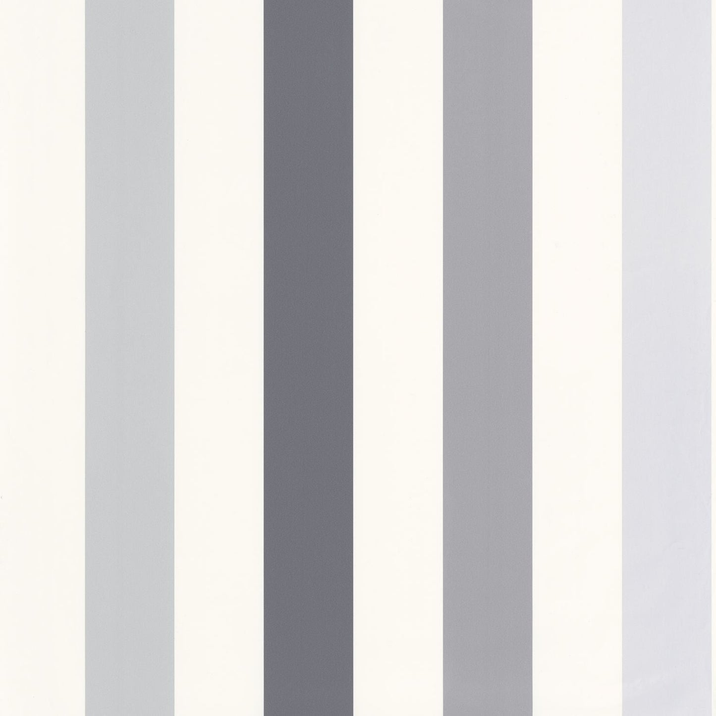 Stay Positive Wallpaper - Noir Gris - Caselio - 103409090 - Premier Wallcovering