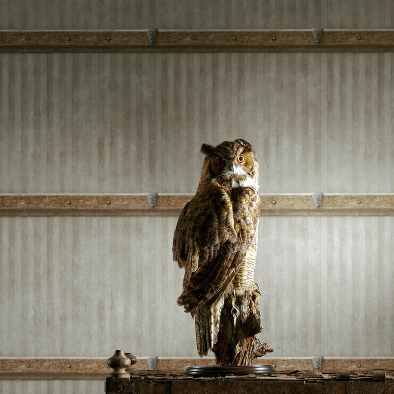 Steamer Wallpaper - Leather - Andrew Martin - ATTSTLE - Premier Wallcovering