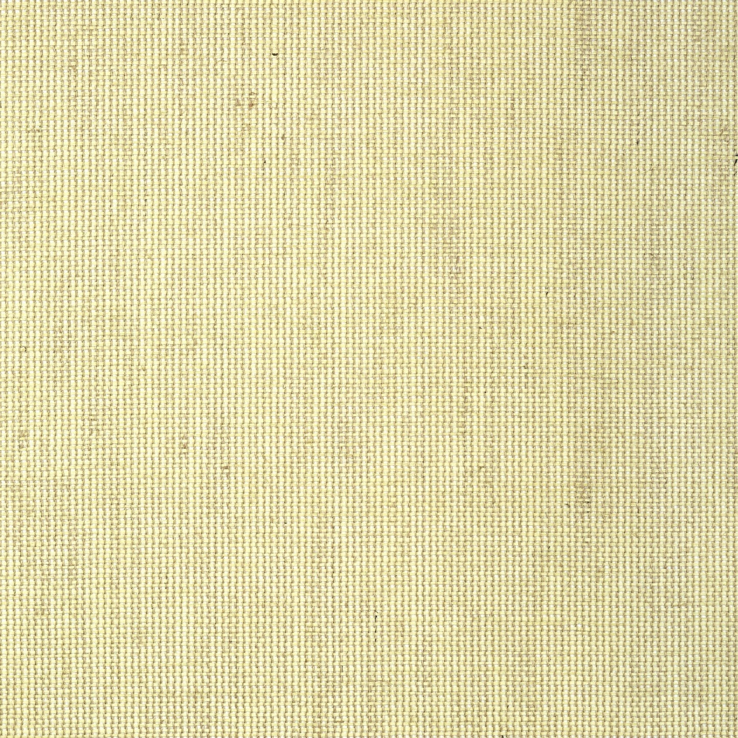 Straw Jute Wallpaper - Citron - Thibaut - T24108 - Premier Wallcovering