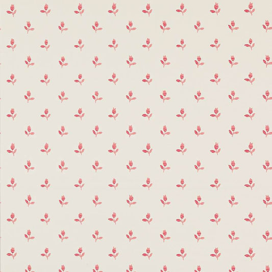 Sudbury Park Wallpaper - Raspberry - Colefax & Fowler - 07986/05 - Premier Wallcovering