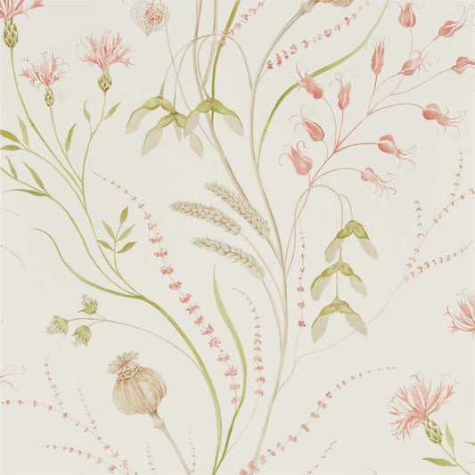 Summer Harvest Wallpaper - Claret/Olive - Sanderson - DEBB216495 - Premier Wallcovering