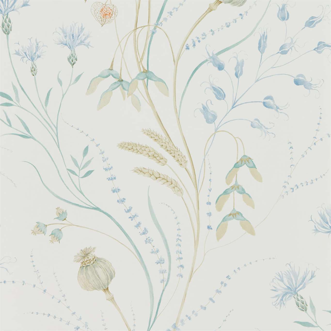 Summer Harvest Wallpaper - Cornflower/Wheat - Sanderson - DEBB216496 - Premier Wallcovering