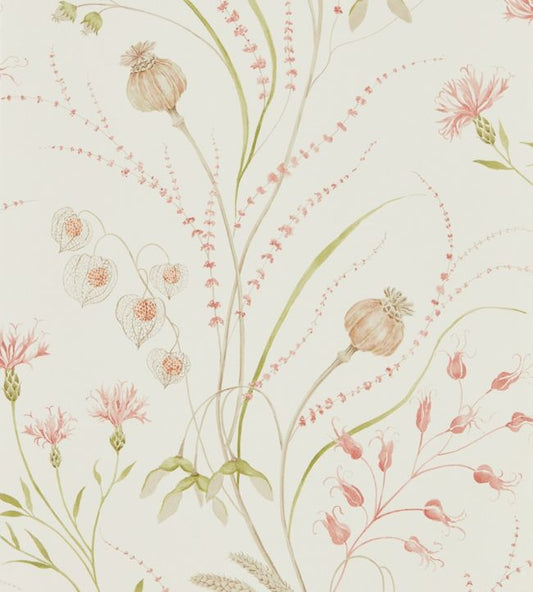 Summer Harvest Wallpaper - Claret/Olive - DEBB216495 - Sanderson - Premier Wallcovering