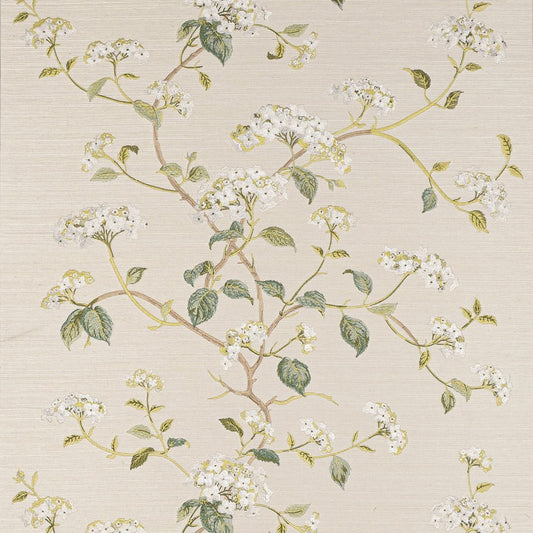 Summerby Sisal Wallpaper - Ivory - Colefax & Fowler - W7024-01 - Premier Wallcovering