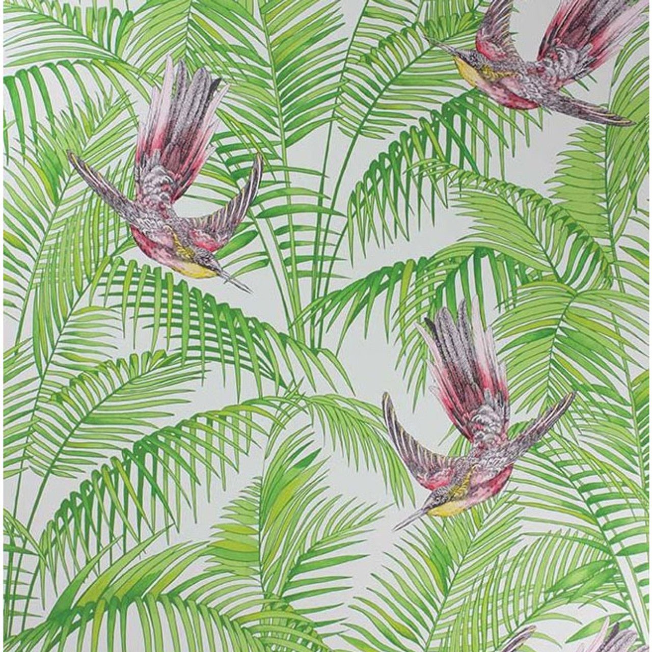 Sunbird Wallpaper - Ruby/ Kiwi - Matthew Williamson - W6543-02 - Premier Wallcovering
