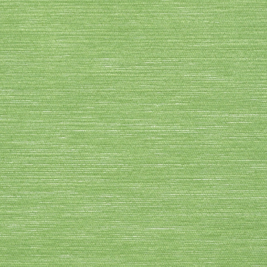 Surfrider Wallpaper - Emerald Green - Thibaut - T13107 - Premier Wallcovering