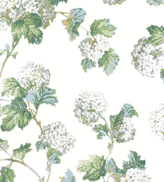 Sussex Hydrangea Wallpaper - White and Green - AT57849 - Anna French - Premier Wallcovering