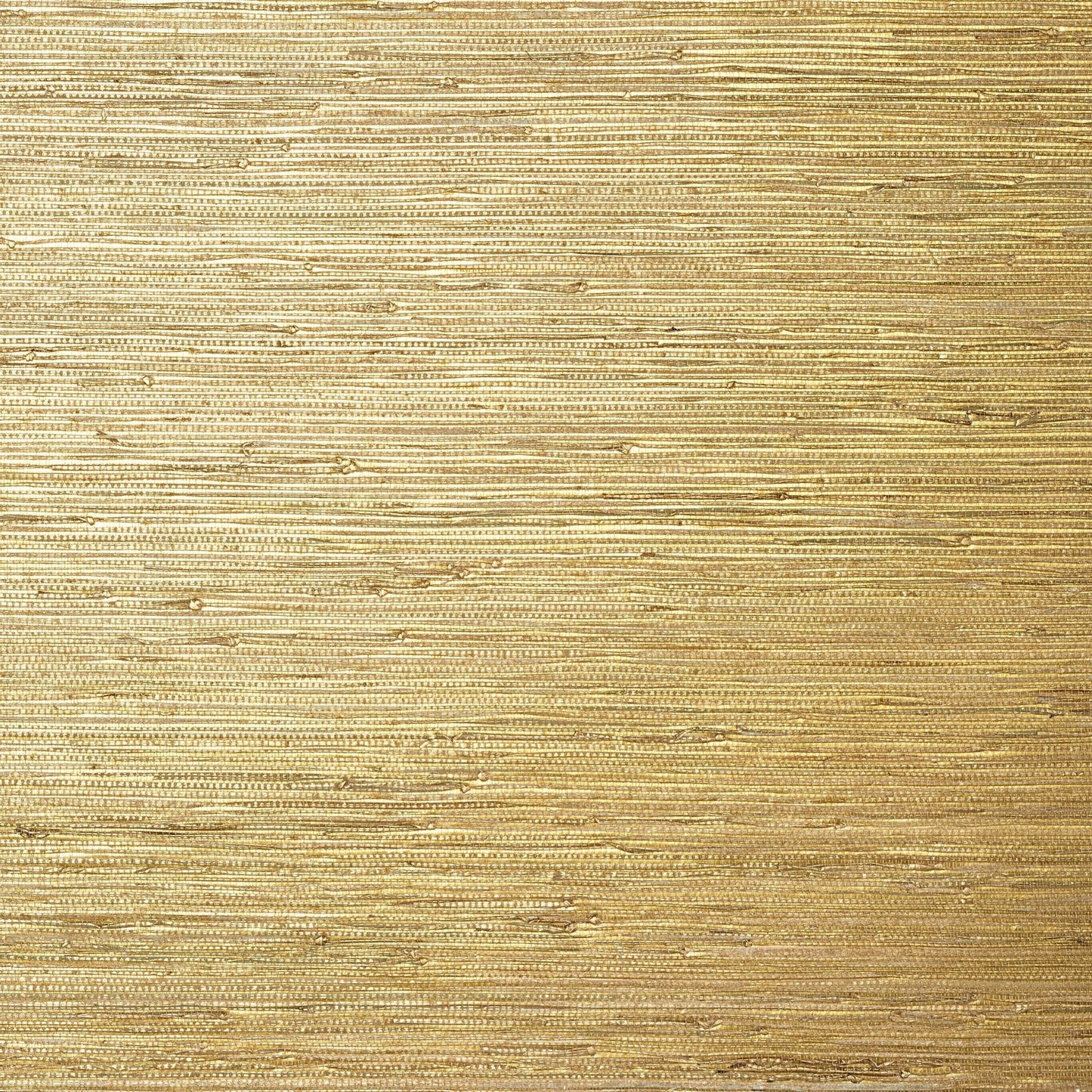 Sutton Wallpaper - Metallic Gold - Thibaut - T24062 - Premier Wallcovering
