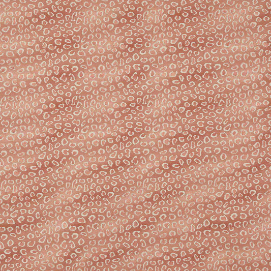 Suzanne Fabric - Abricot - Manuel Canovas - M4089-01 - Premier Wallcovering