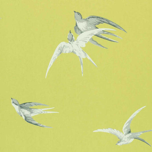 Swallows Wallpaper - Lime - DVIWSW101 - Sanderson - Premier Wallcovering