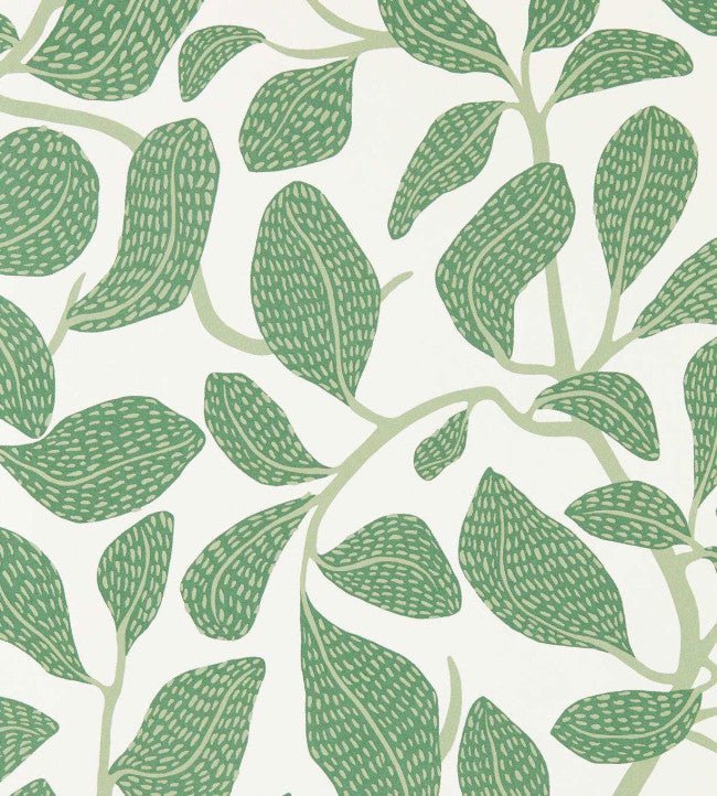 Sweet Bay Wallpaper - Forest - Scion - NSCW113268 - Premier Wallcovering