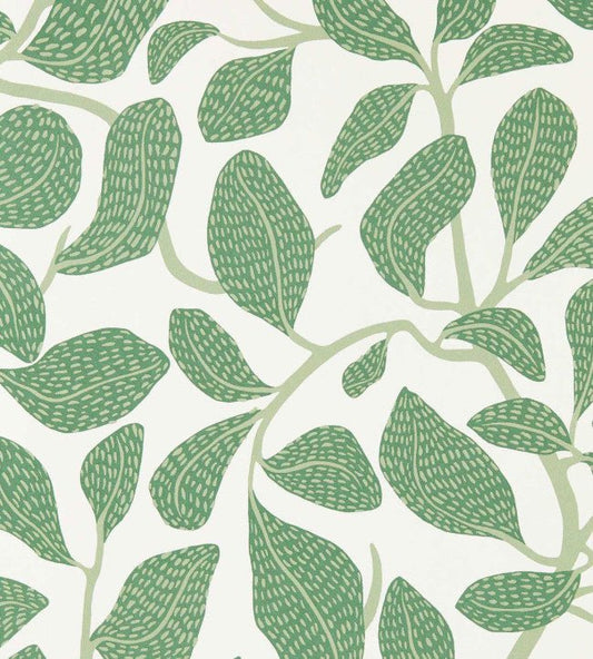 Sweet Bay Wallpaper - Forest - Scion - NSCW113268 - Premier Wallcovering