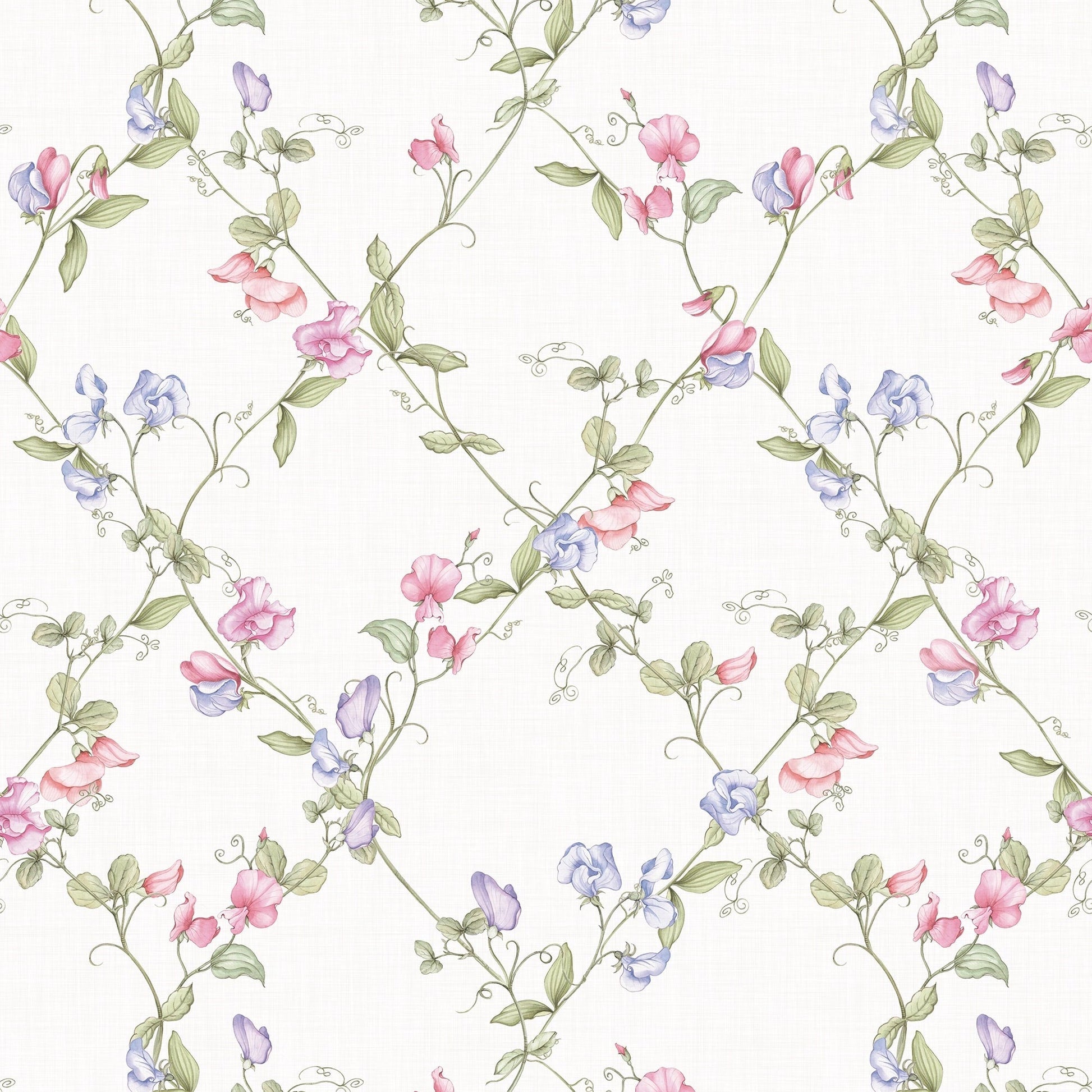 Sweet Pea Wallpaper - Pinks and Lilacs on Vintage Cream - Lucie Annabel - LAN100415 - Premier Wallcovering