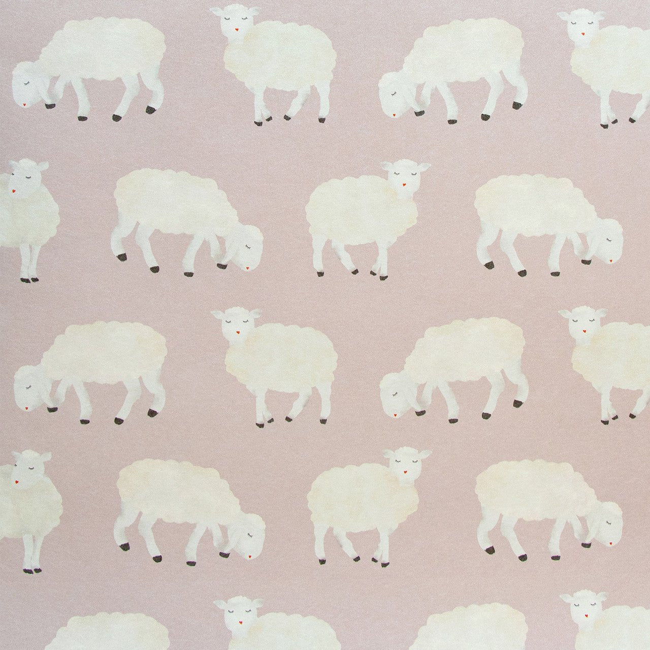 Sweet Sheep Great Kids Wallpaper - Rose - Hohenberger - 26827 - Premier Wallcovering