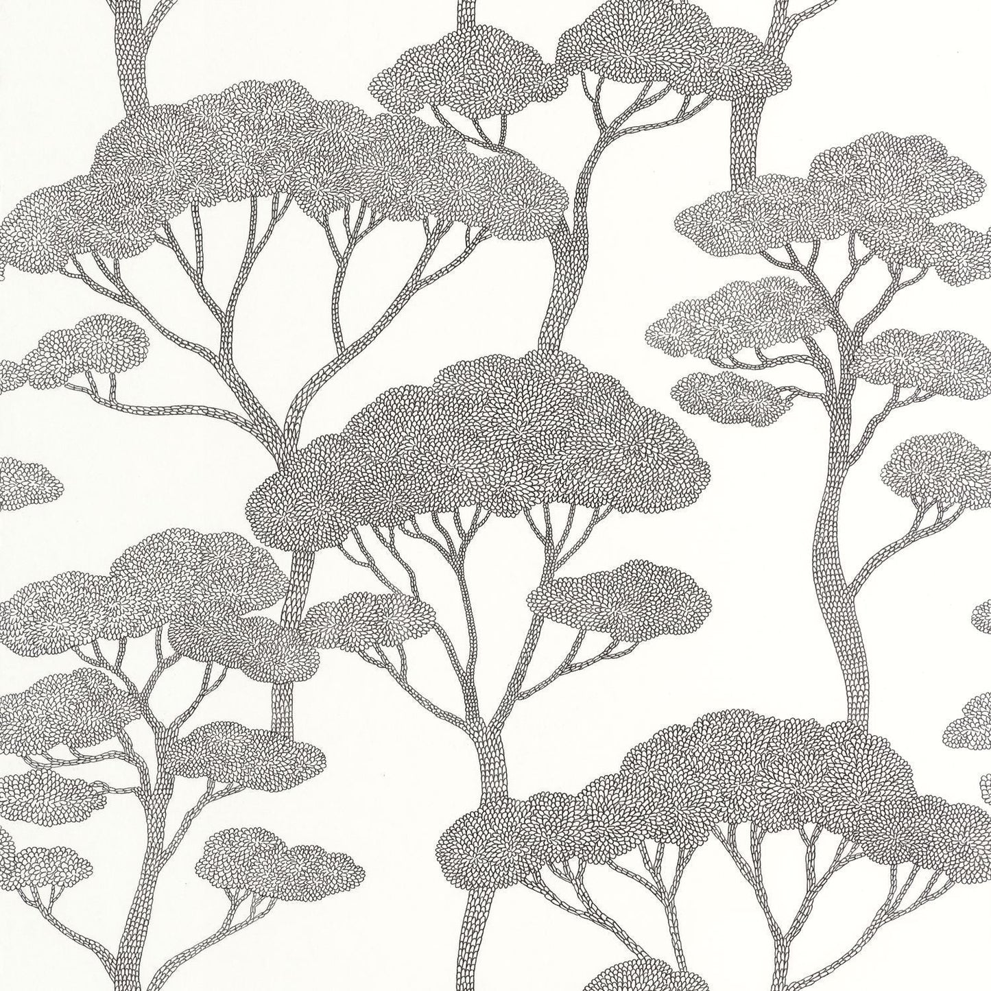 Sweet Wallpaper - Noir Blanc - Caselio - 106629000 - Premier Wallcovering