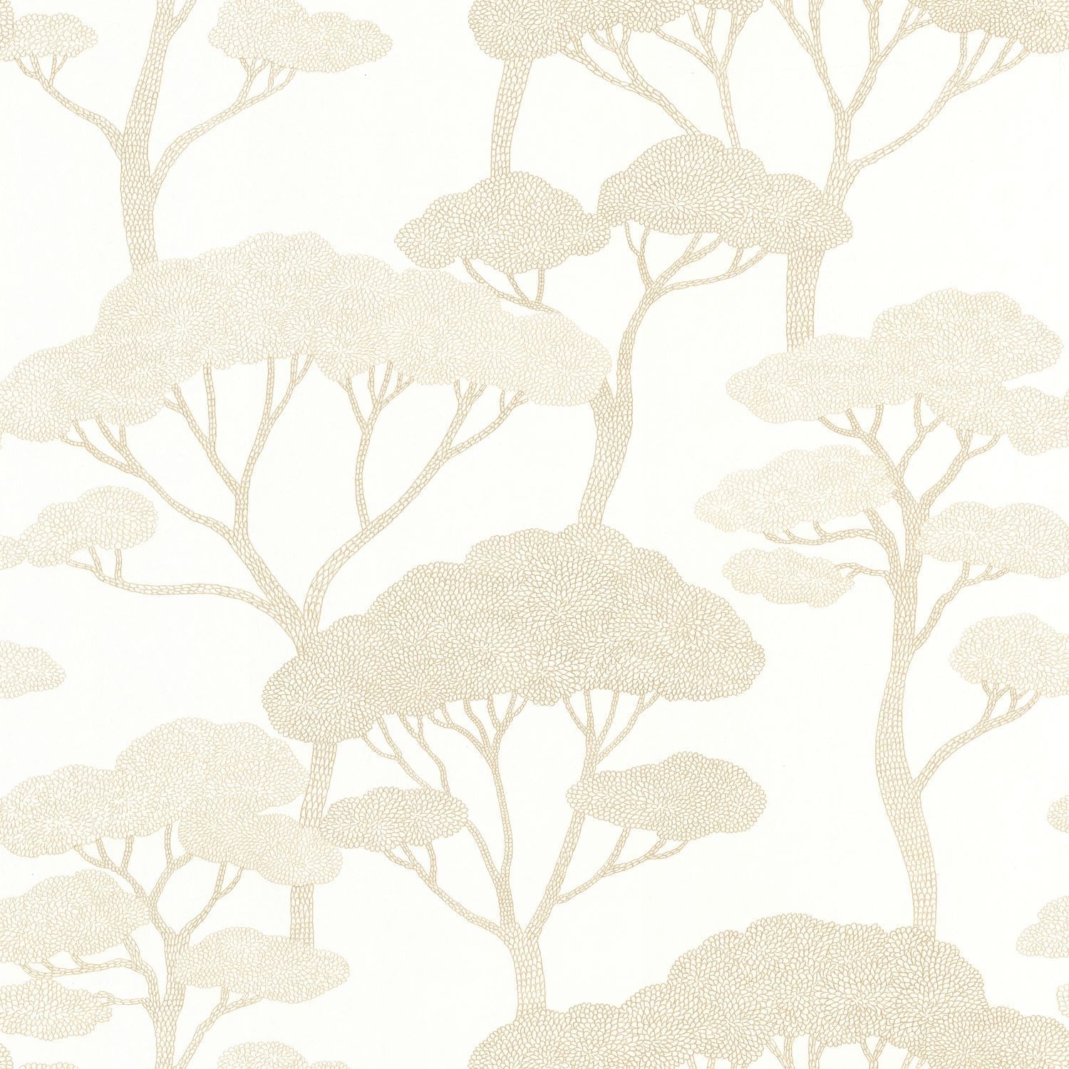Sweet Wallpaper - Blanc - Caselio - 106620000 - Premier Wallcovering